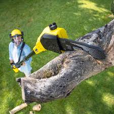 Best Residential Tree Removal  in Brandermill, VA