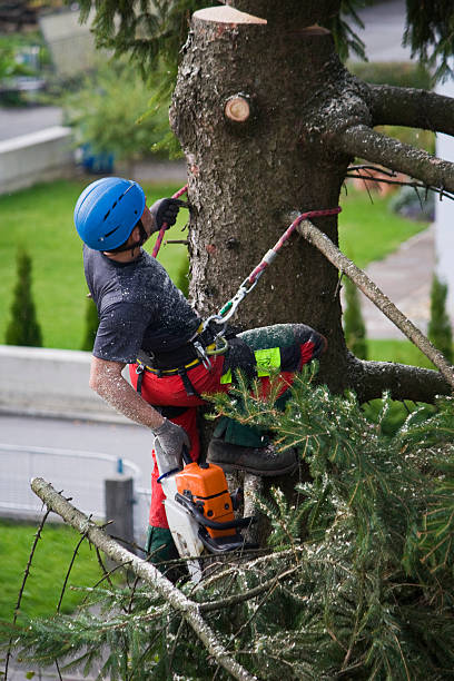 Best Leaf Removal Services  in Brandermill, VA